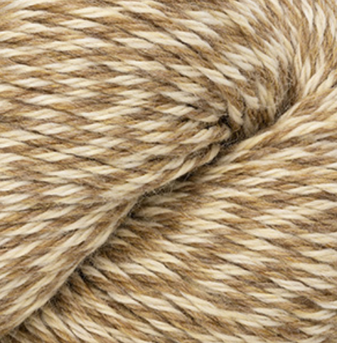 Cascade 220 -continued