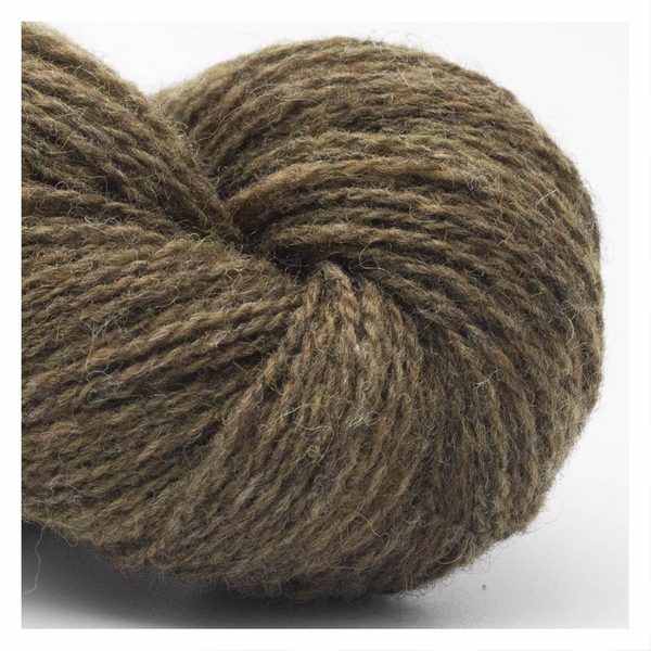 Bio Shetland