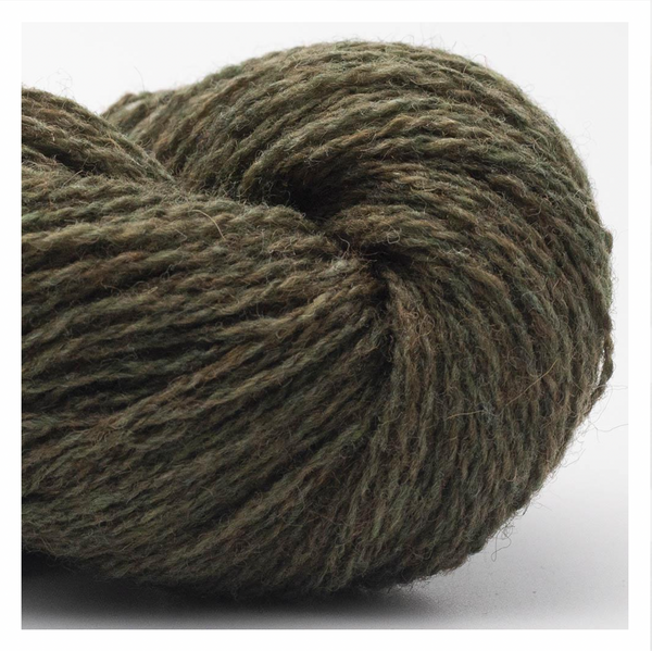 Bio Shetland