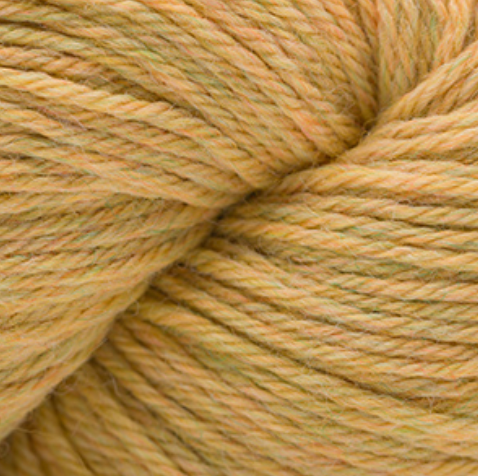 Cascade 220 -continued