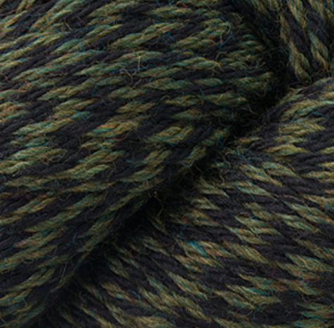 Cascade 220 -continued