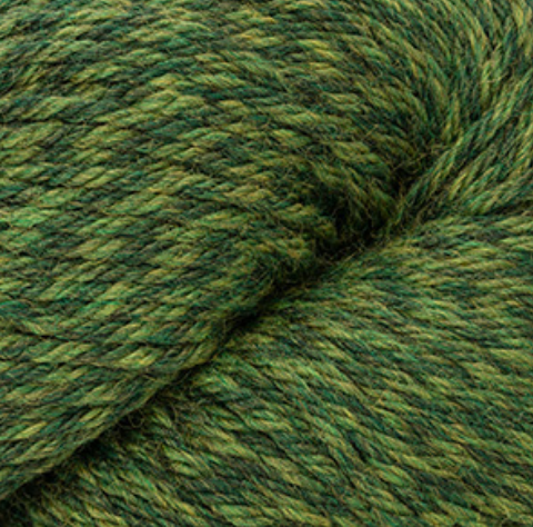 Cascade 220 -continued