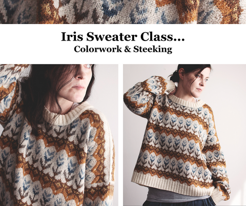 Iris Sweater Class  - Thursdays, February 6, 20, March 13, 27 & April 3rd   6:00 - 8:00 PM